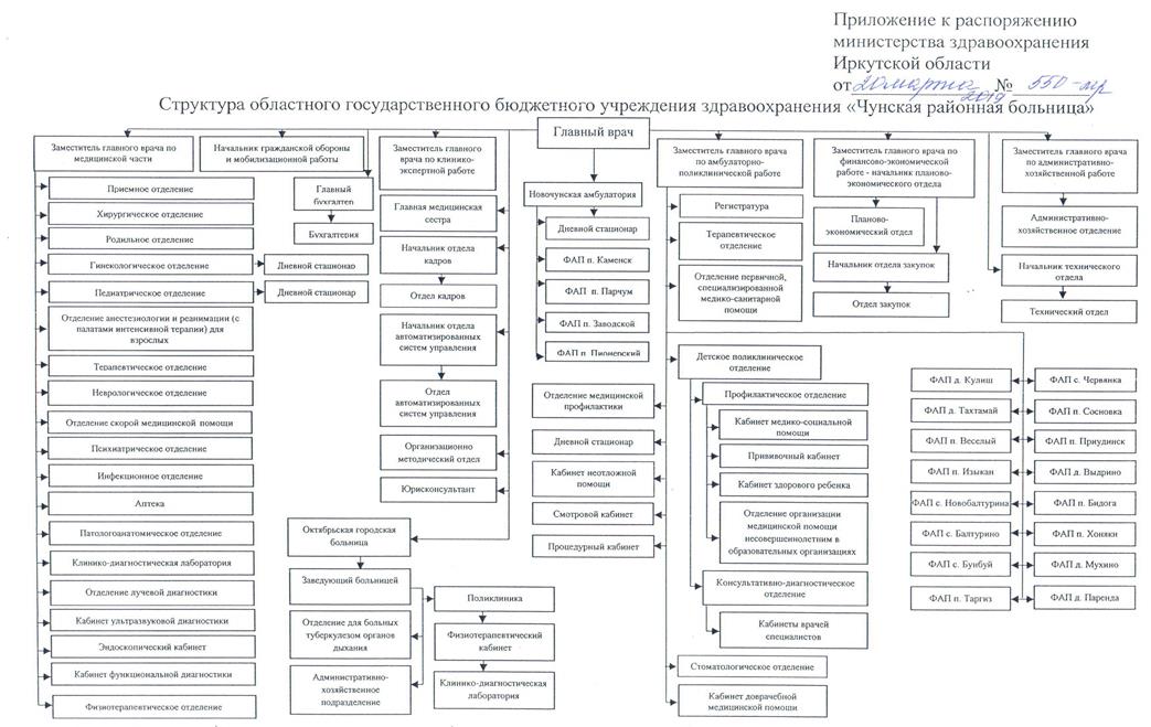 Структура больницы общего типа схема